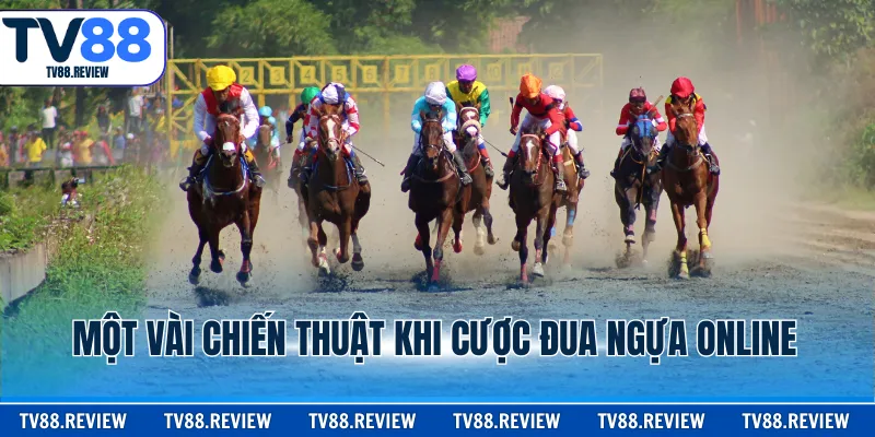 Một vài chiến thuật khi cược đua ngựa online