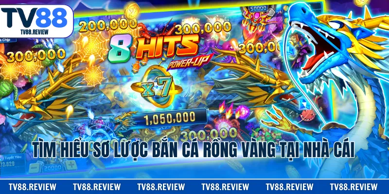 Tìm hiểu sơ lược bắn cá rồng vàng tại nhà cái