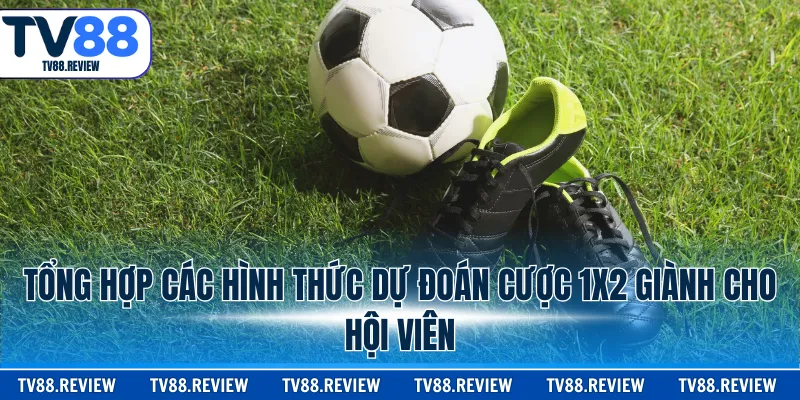Tổng hợp các hình thức dự đoán cược 1x2 giành cho hội viên