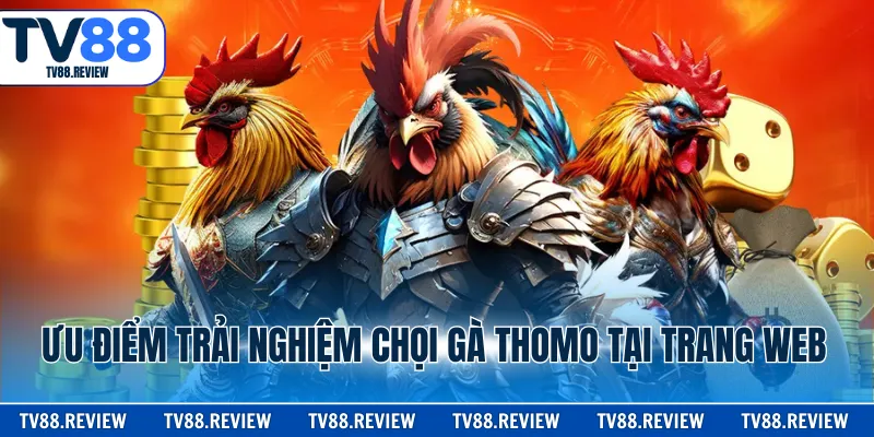 Ưu điểm trải nghiệm chọi gà Thomo tại trang web